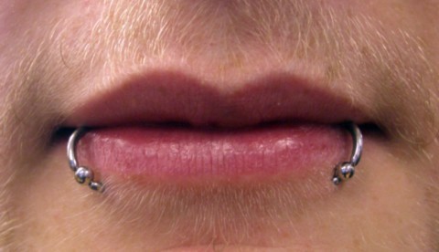 Piercing snake bites Piercing snake bites